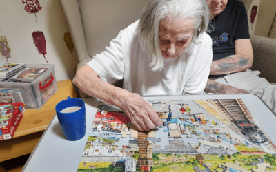 Boosting Cognitive Health with Puzzles at Waterloo Care Home